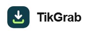 tikgrab.download